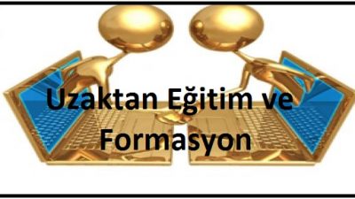 Uzaktan Eğitim Veren Üniversiteler ve Pedagojik Formasyon 2015