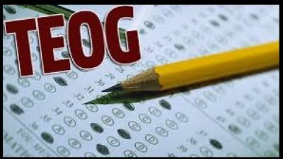 TEOG 2015 Tercihleri Ne zaman Açıklanacak? Tıkla öğren